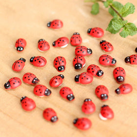 Mini Ladybug Lovely Garden Decoration