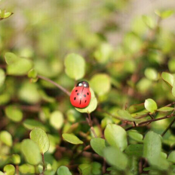 Mini Ladybug Lovely Garden Decoration