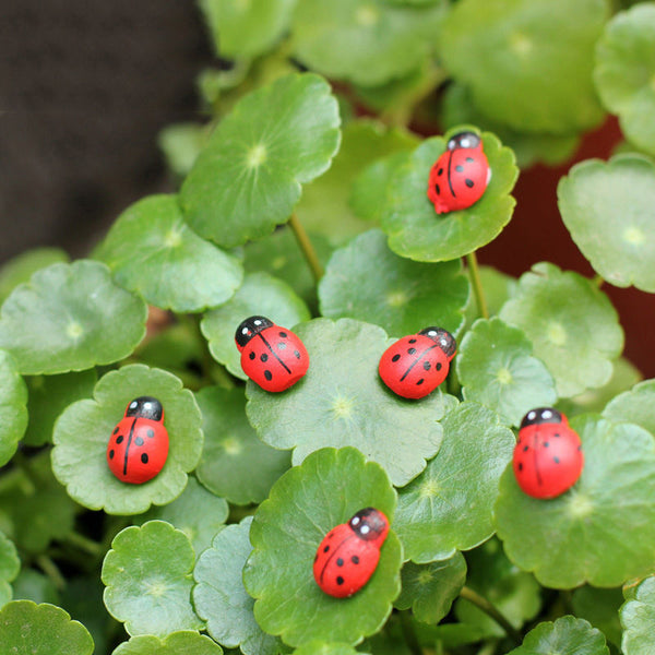 Mini Ladybug Lovely Garden Decoration