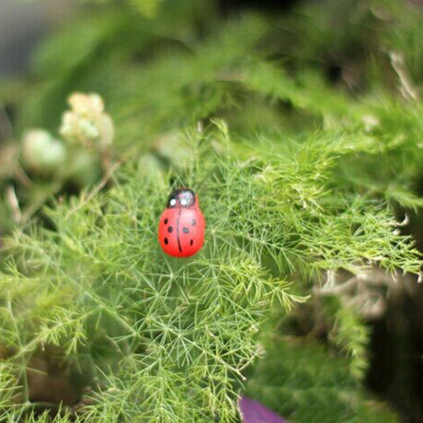 Mini Ladybug Lovely Garden Decoration
