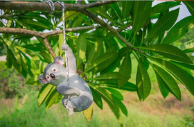 Simulation Koala Garden Decoration
