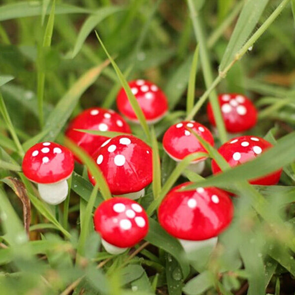 Kawaii Mini Red Mushroom